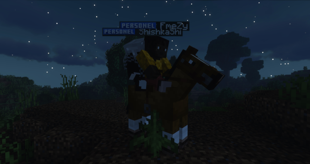 Zdjęcie gracza — Minecraft