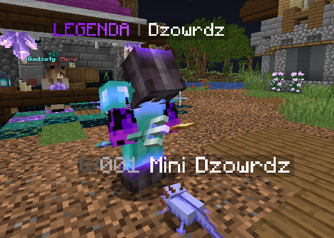 Zdjęcie gracza — Minecraft