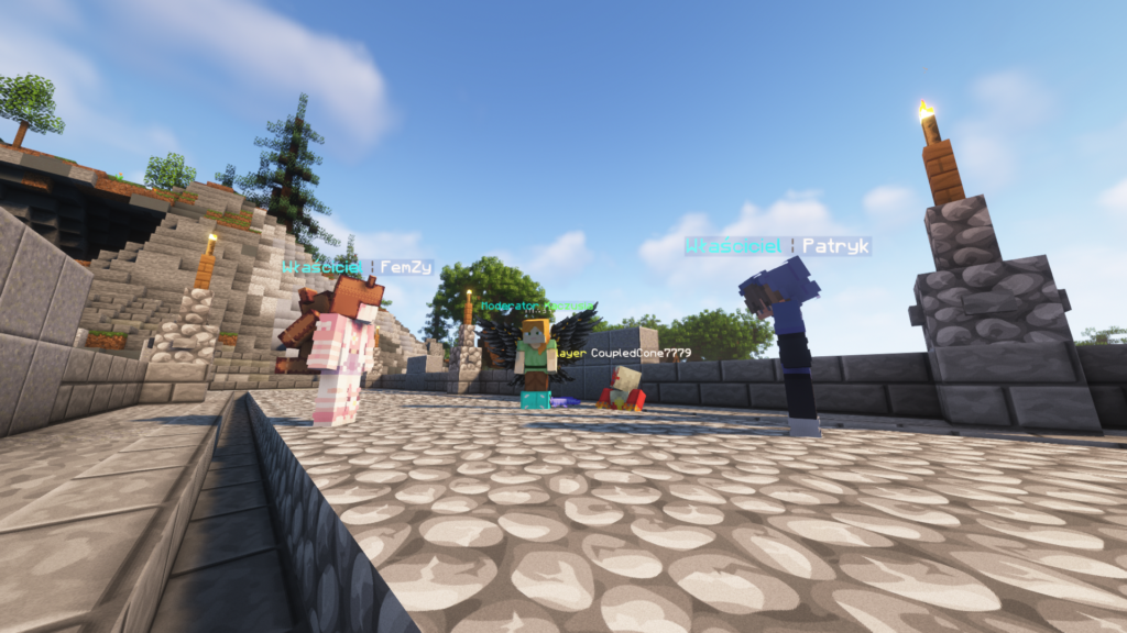 Zdjęcie gracza — Minecraft