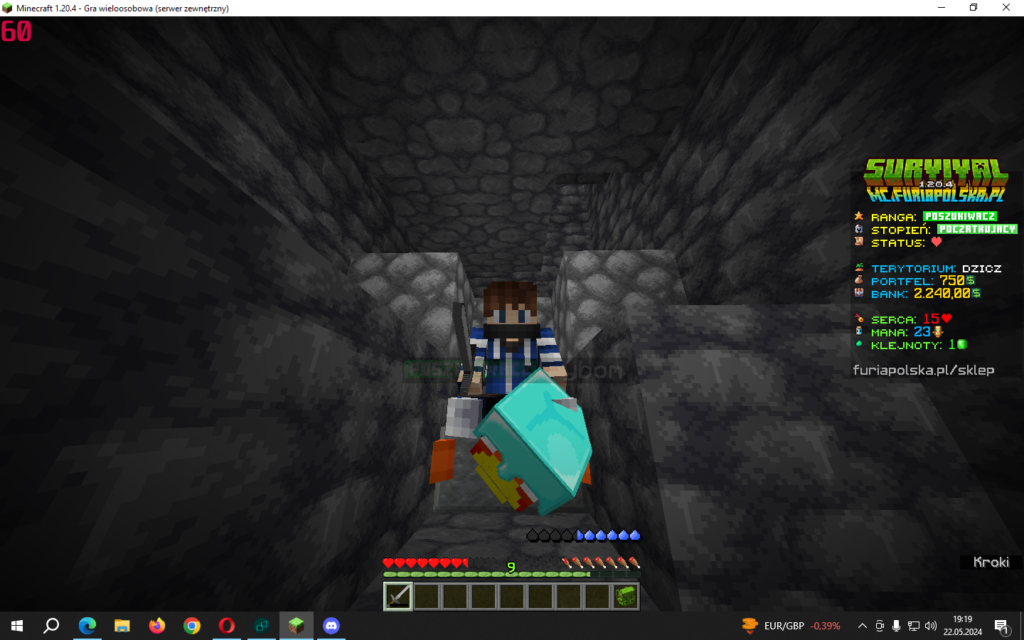 Zdjęcie gracza — Minecraft
