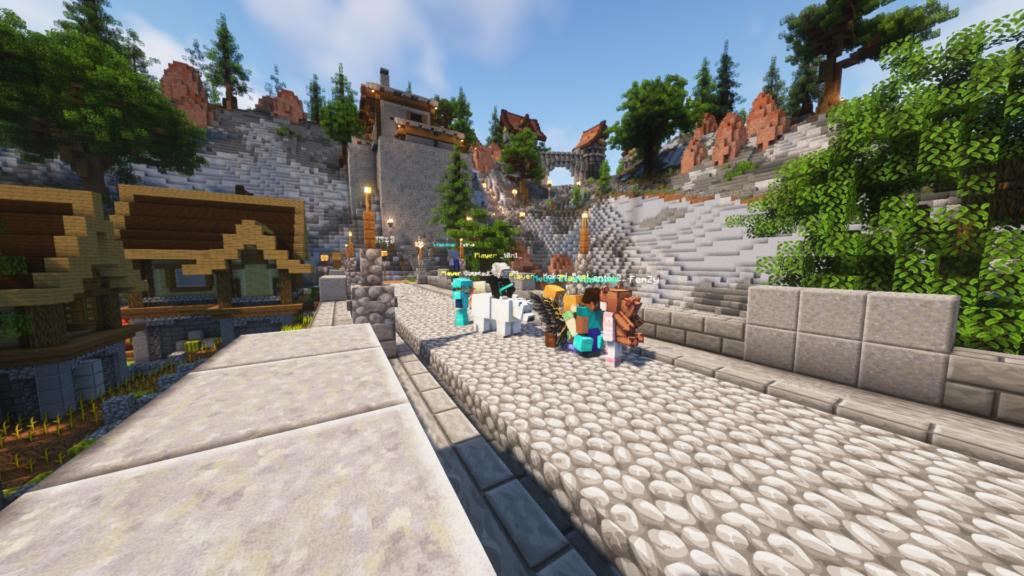 Zdjęcie gracza — Minecraft