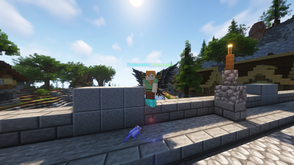 Zdjęcie gracza — Minecraft