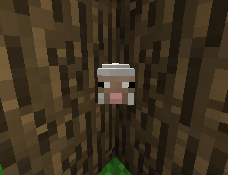 Zdjęcie gracza — Minecraft
