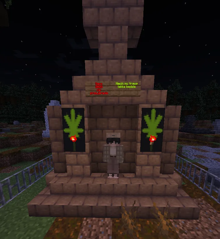 Zdjęcie gracza — Minecraft